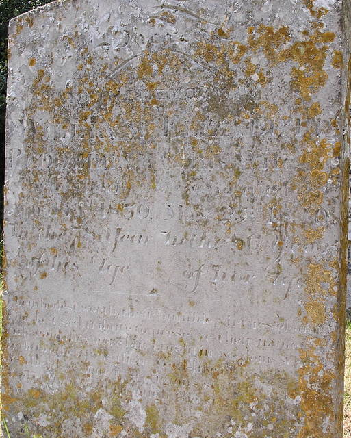 William & Elizabeth Rudderham